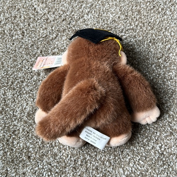 Graduation Monkey - Picture 2 of 2